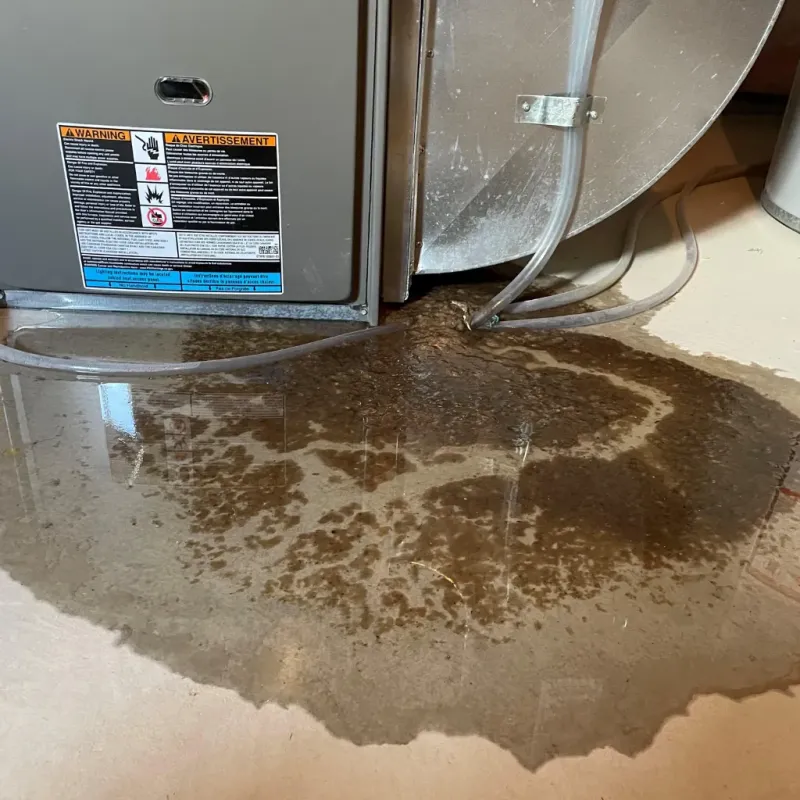 Appliance Leak Cleanup in Chambers County, TX