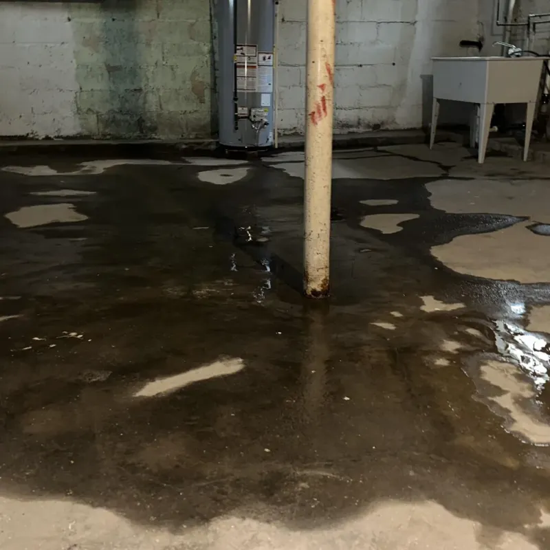 Emergency Water Extraction And Removal in Chambers County, TX